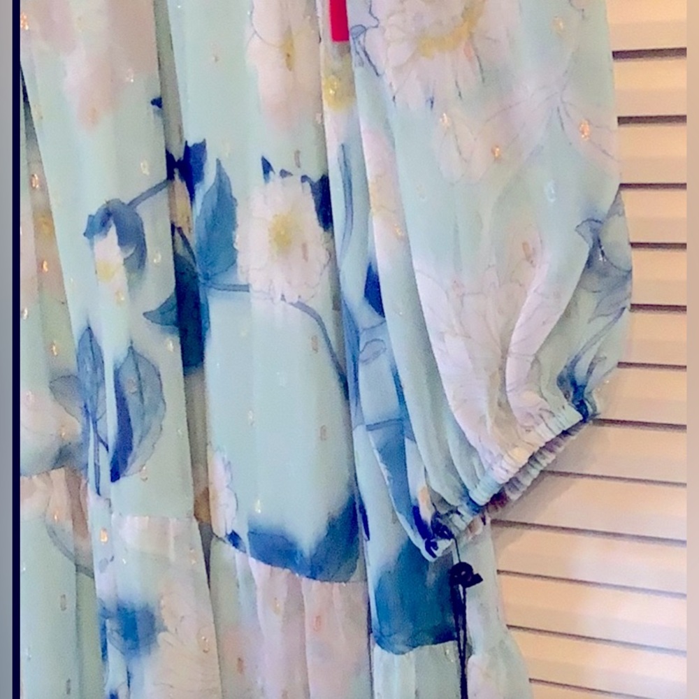 NWT Adrianna Papell Dress, floral Chiffon Maxi 16W aqua, teal, white long sleeve - Picture 5 of 9